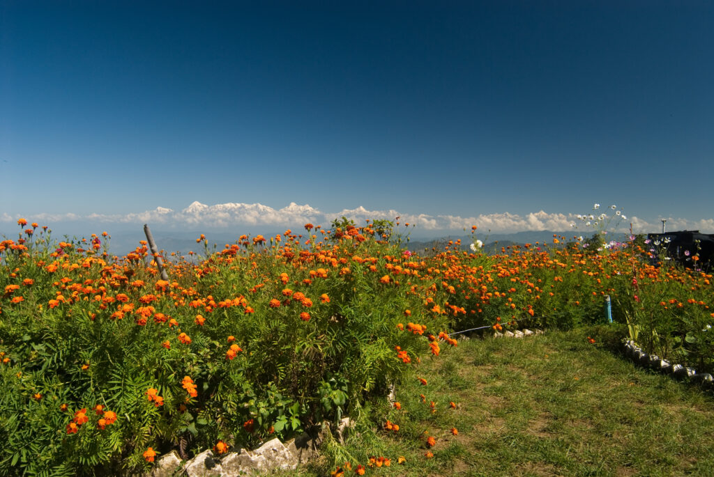 view of himalayas