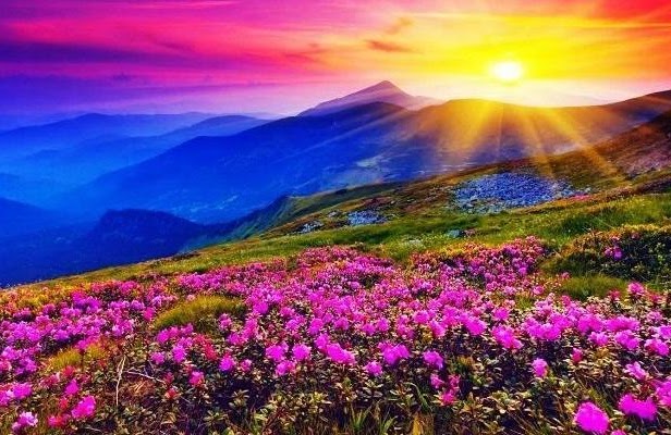 Valley of Flowers: A Natural Paradise in Uttarakhand